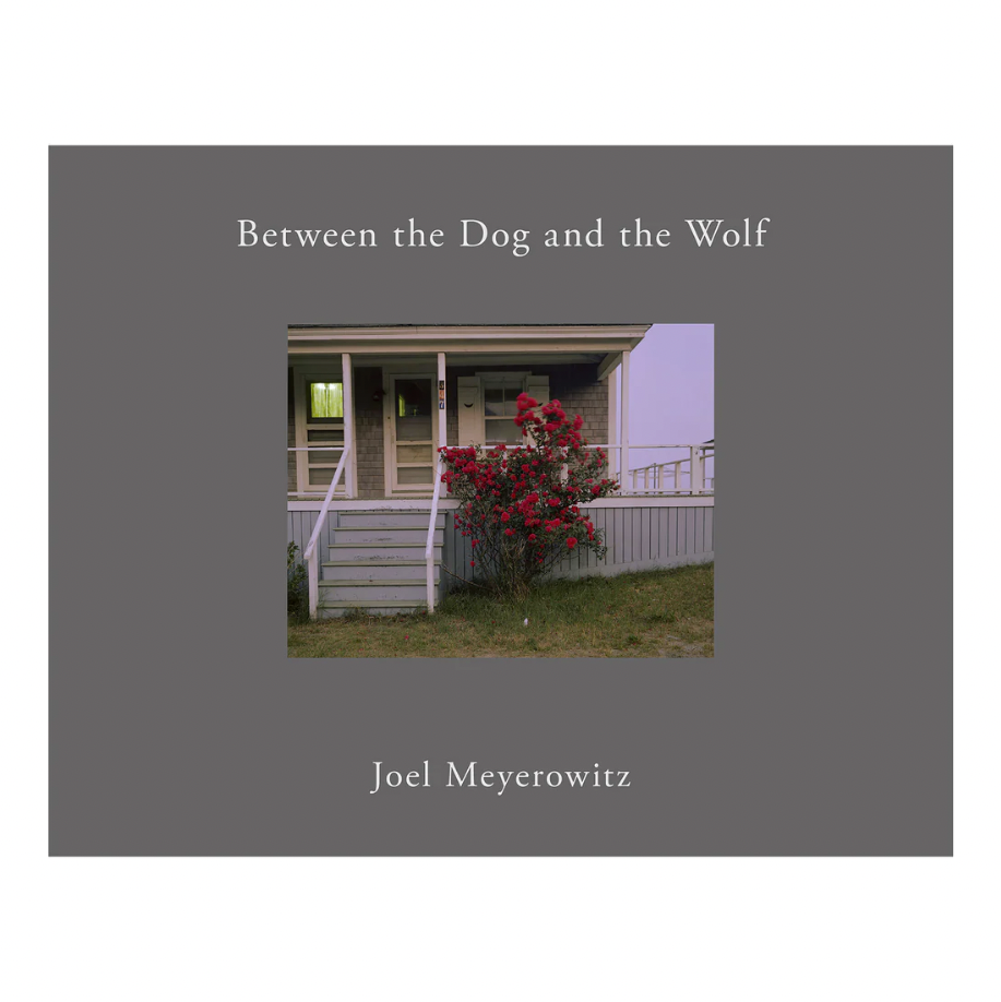 Joel Meyerowitz Between the Dog and the… Joel Meyerowitz: Between the Dog and the Wolf, Super Labo